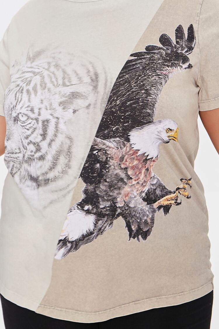 Plus Size Colorblock Eagle Graphic Tee-Feelings Star