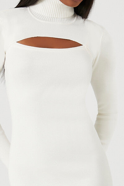 Turtleneck Combo Sweater Dress-Feelings Star