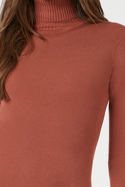 Turtleneck Midi Sweater Dress-Feelings Star