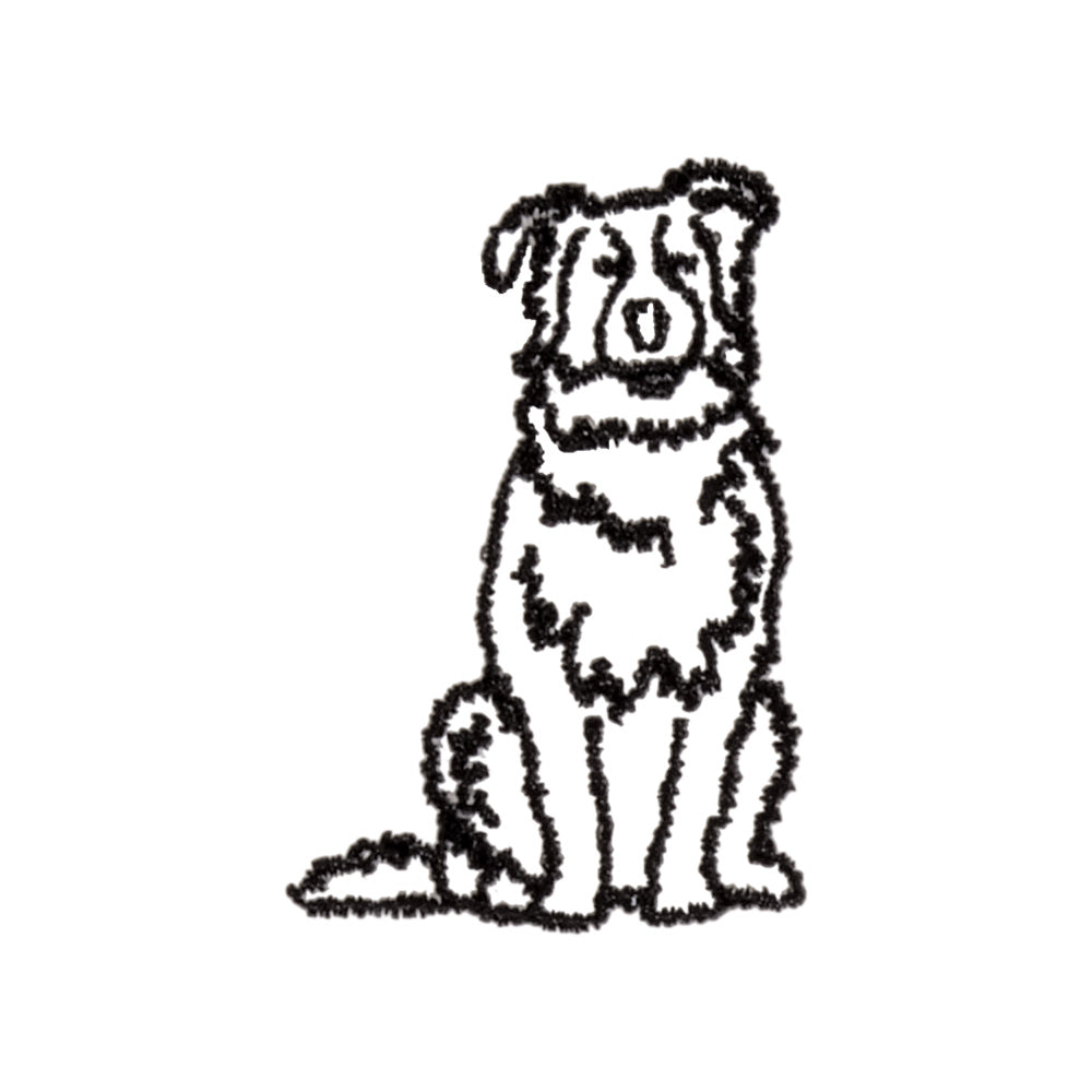 Australian Shepherd Icon-Blues Comming