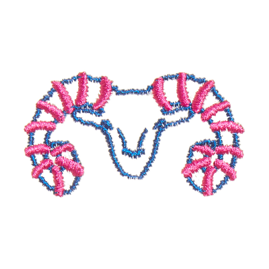 Aries Icon-Blues Comming