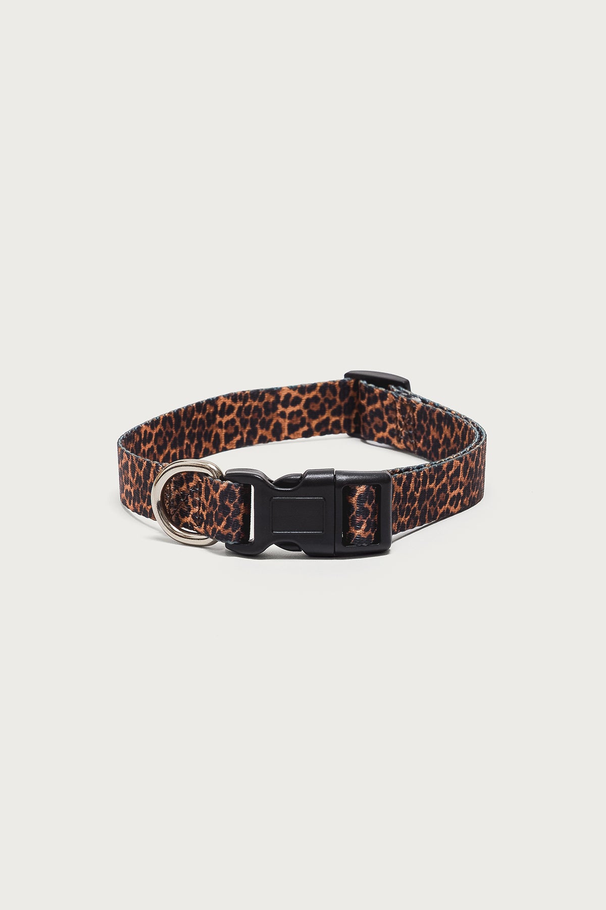 Leopard Print Pet Collar-Milans Time