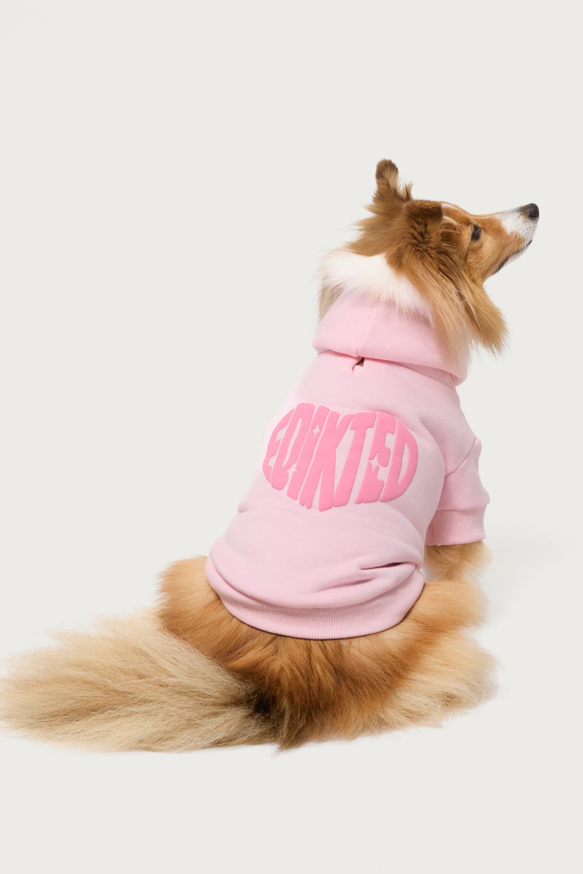Major Love Milans Time Pet Hoodie-Milans Time