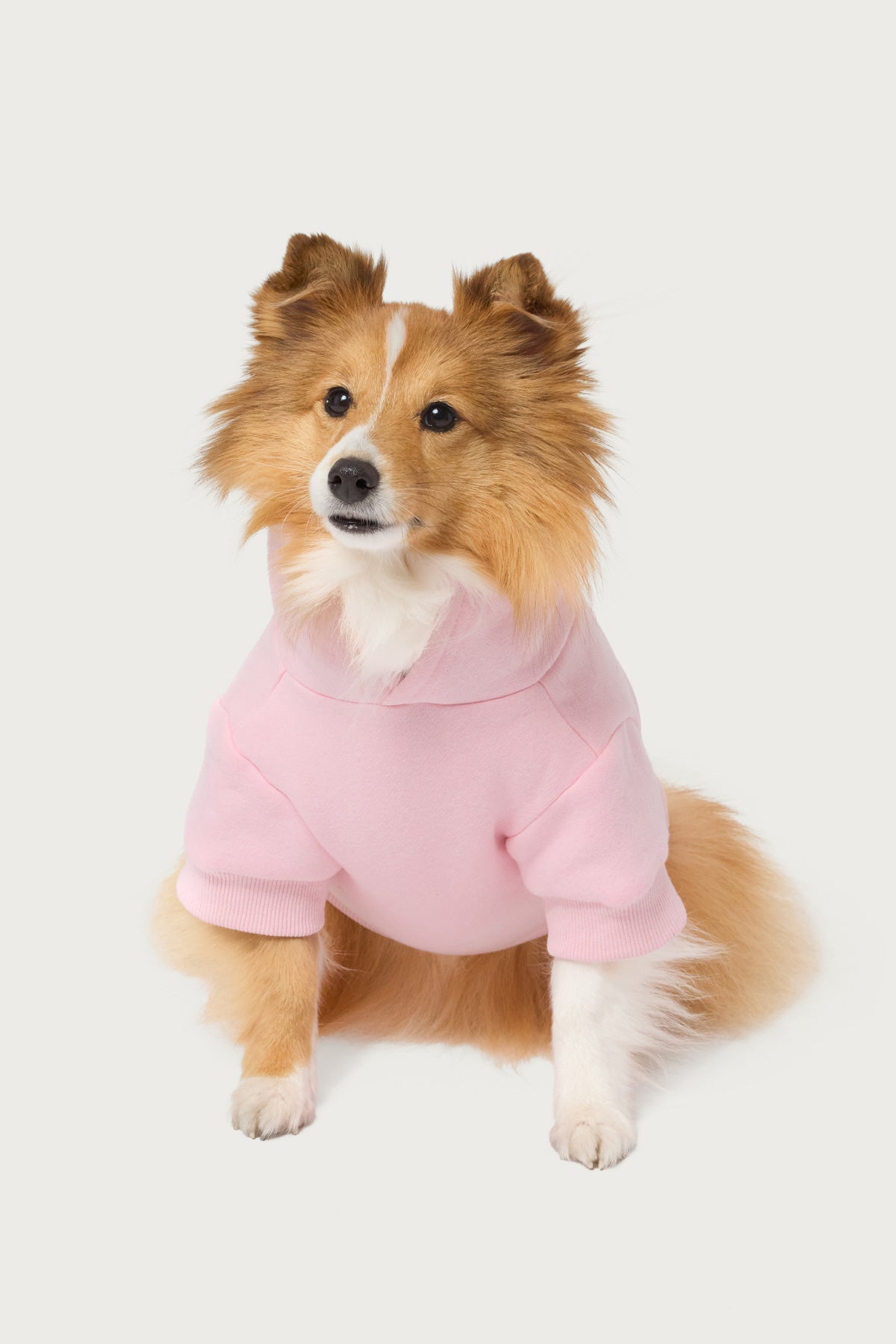 Major Love Milans Time Pet Hoodie-Milans Time