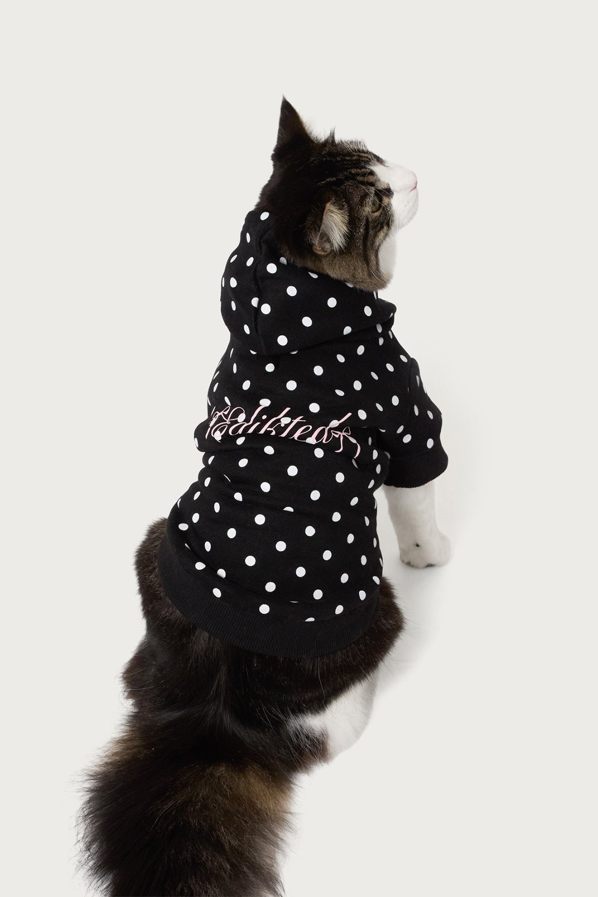 Chelsie Polka Dot Pet Hoodie-Milans Time