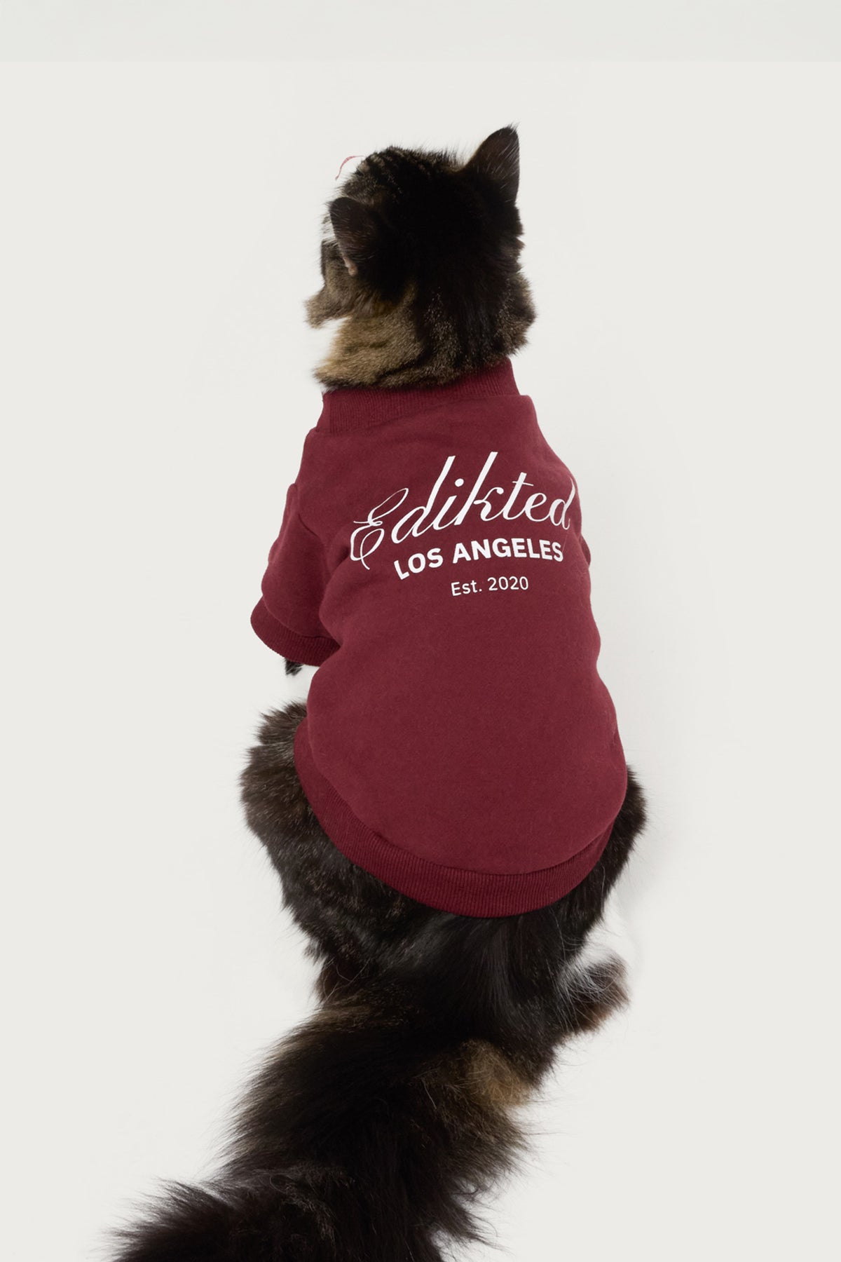 Get Milans Time Pet Sweatshirt-Milans Time