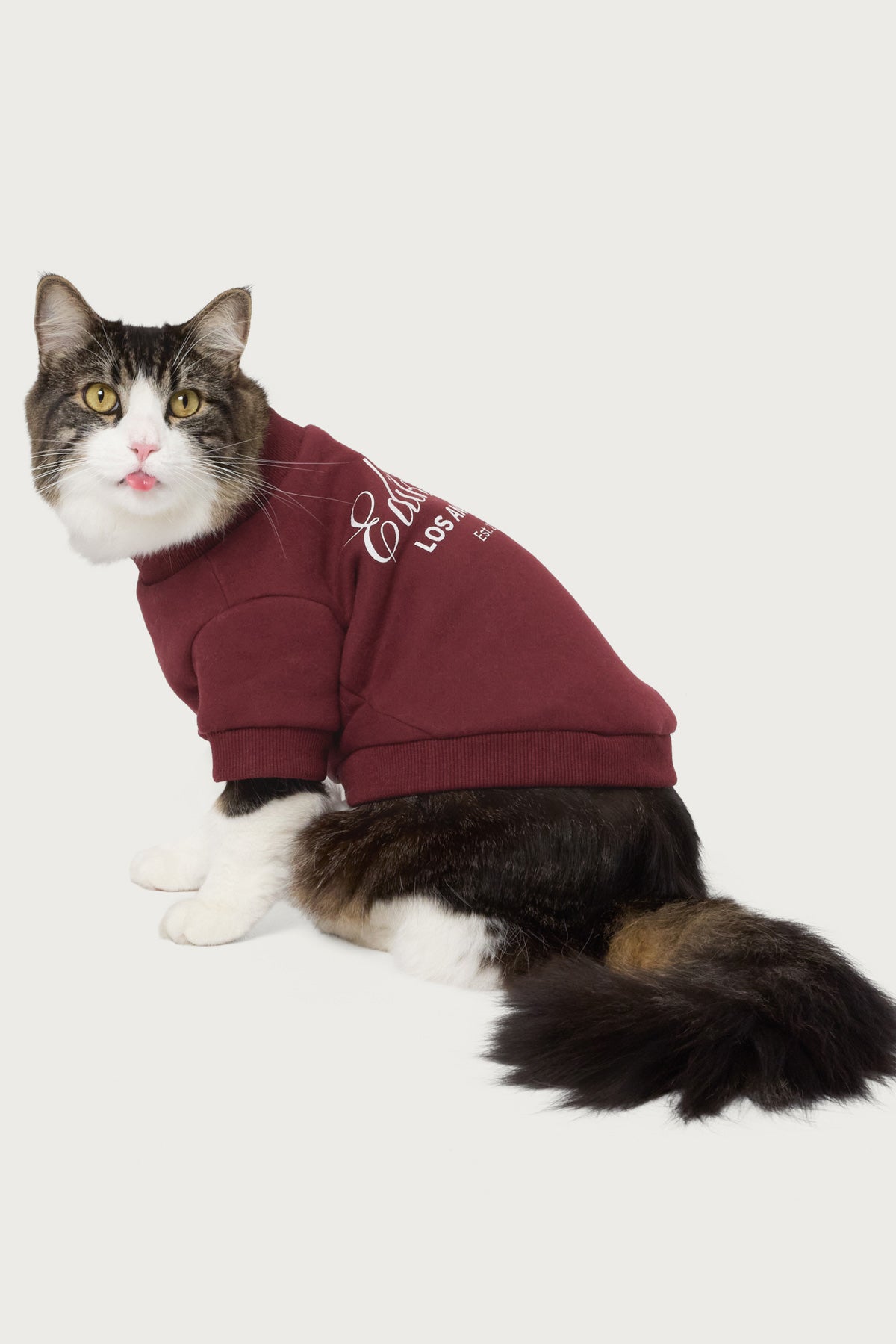 Get Milans Time Pet Sweatshirt-Milans Time