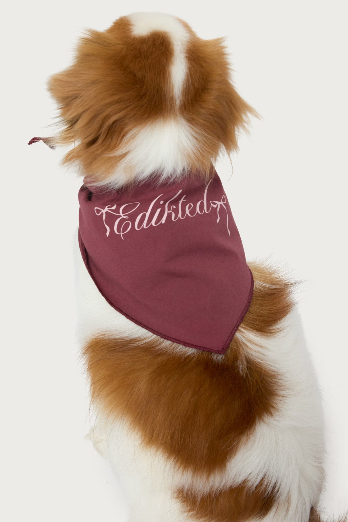 Sasha Bow Pet Bandana-Milans Time