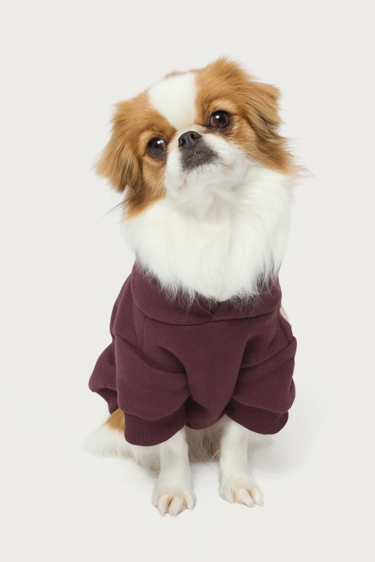 Starly Pet Hoodie-Milans Time