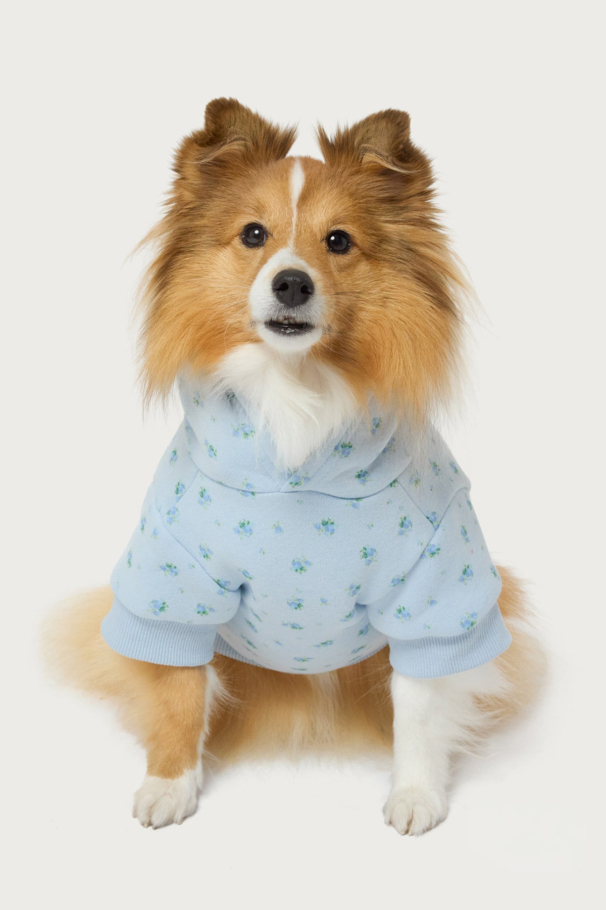 Flower Power Pet Hoodie-Milans Time