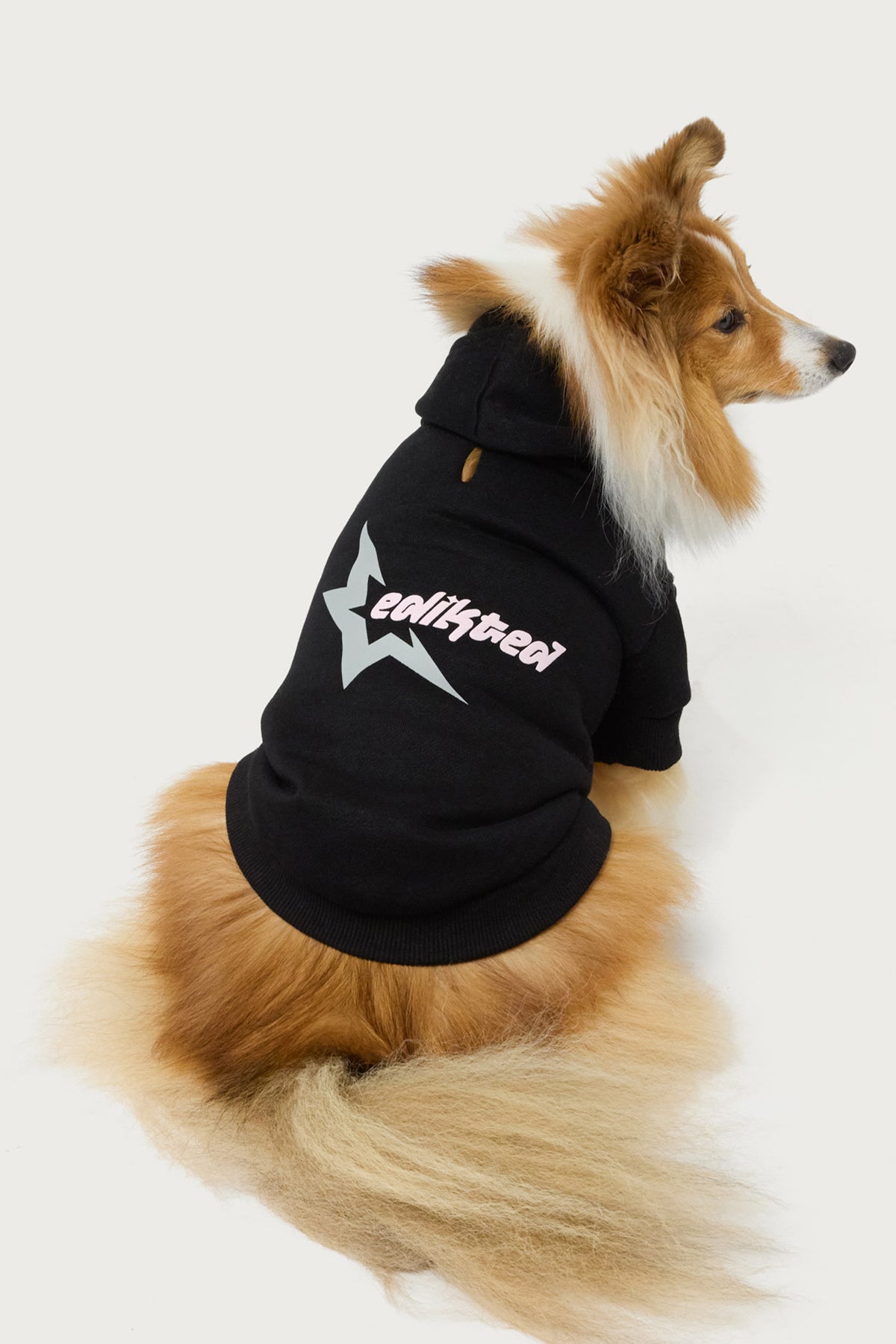 Milans Time Star Pet Hoodie-Milans Time