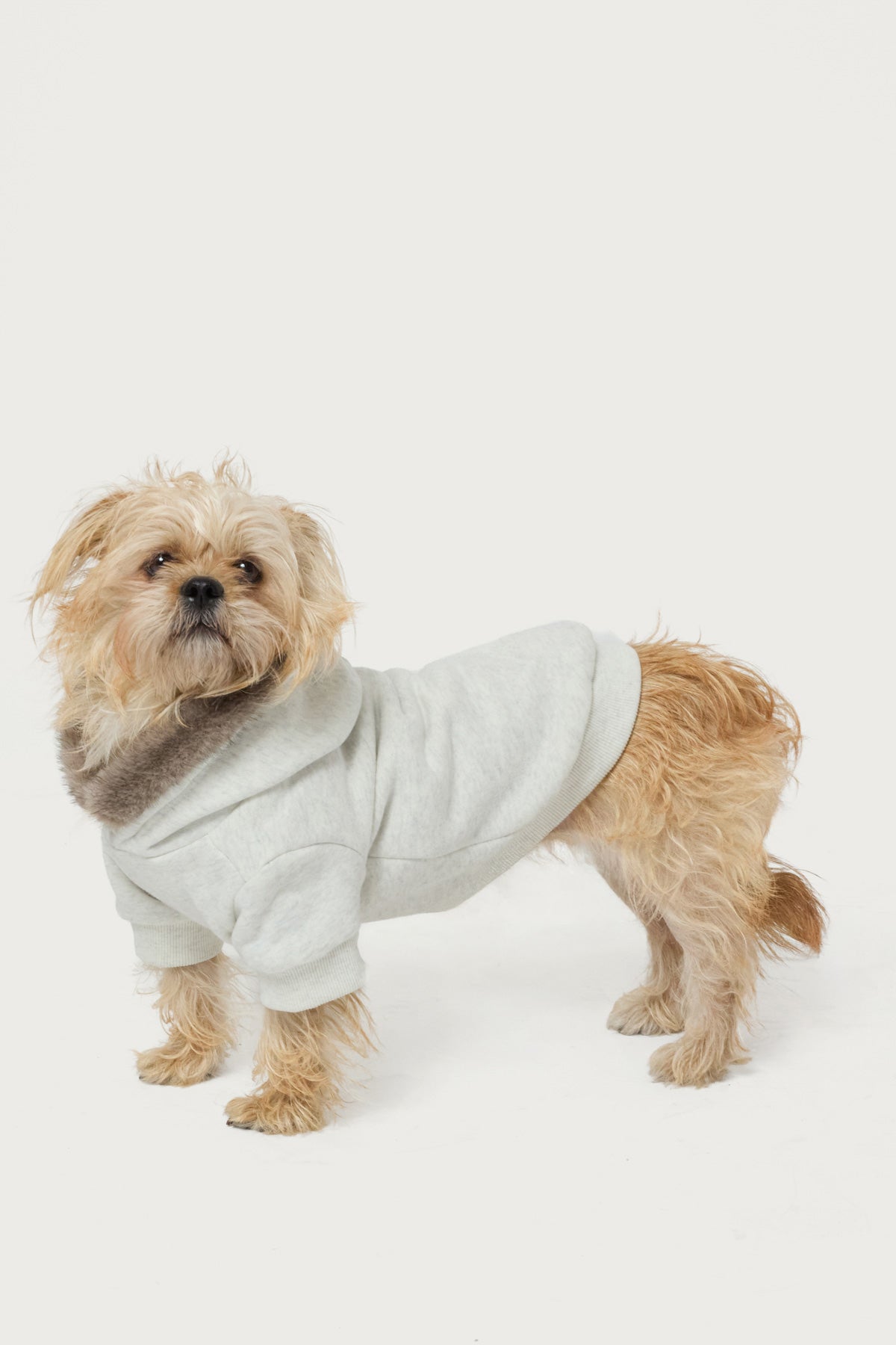 Faux Furry Pet Hoodie-Milans Time