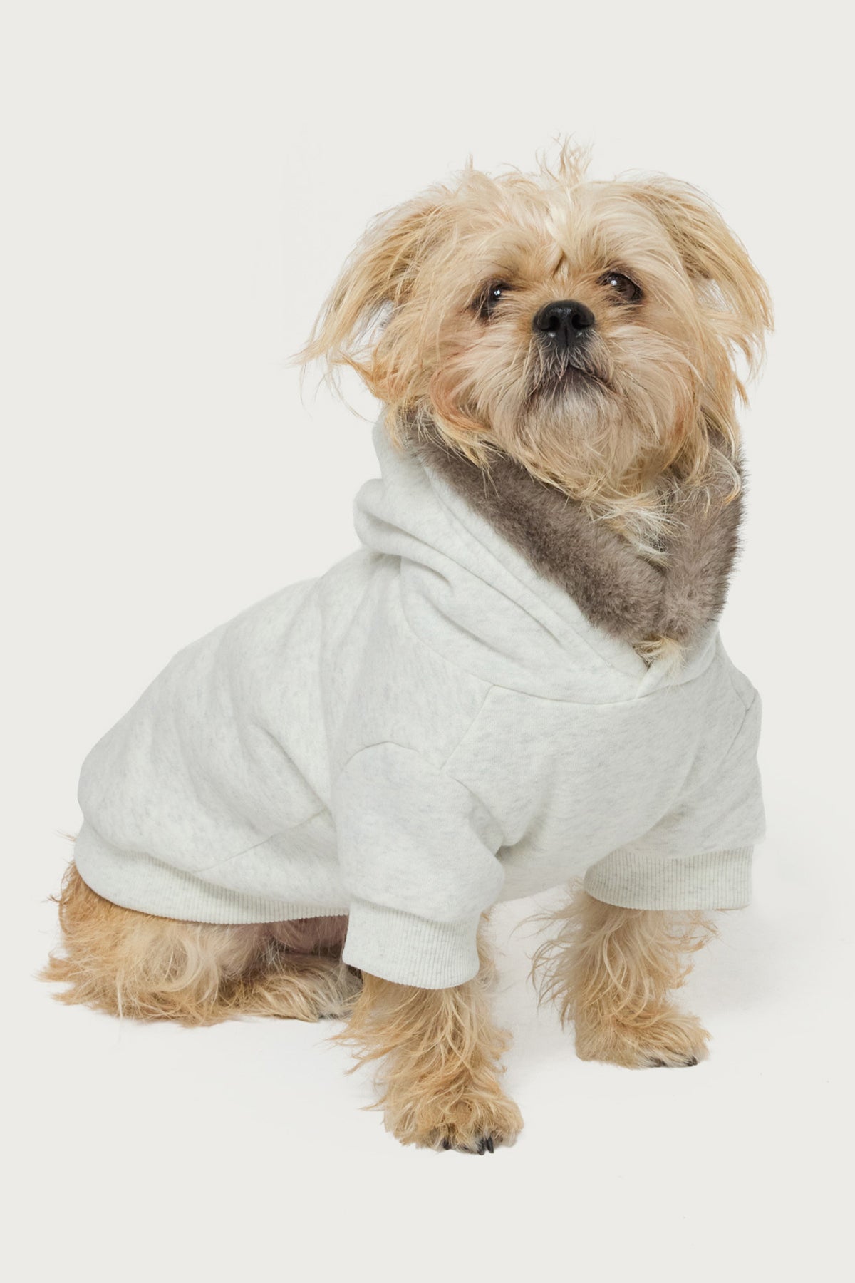Faux Furry Pet Hoodie-Milans Time