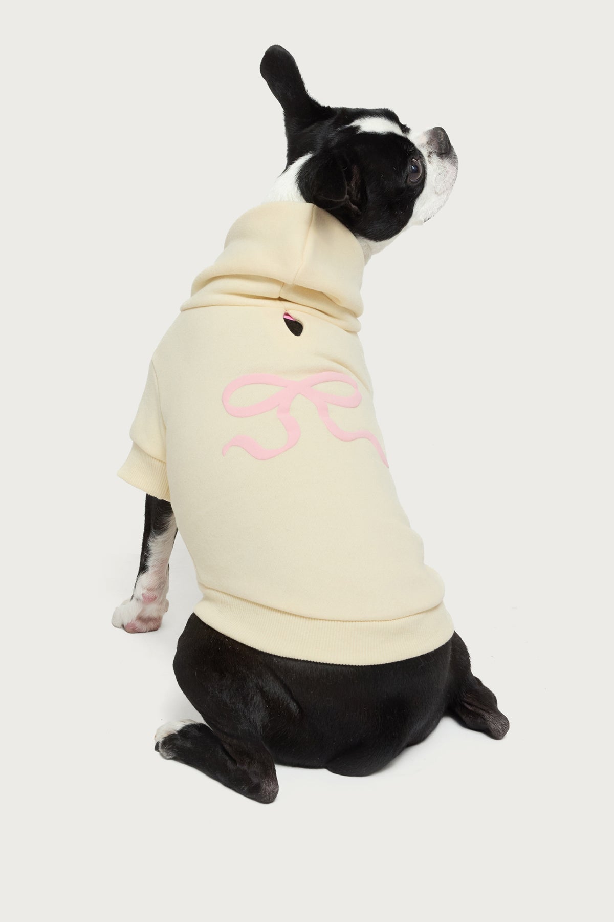 Bonney Bow Pet Hoodie-Milans Time