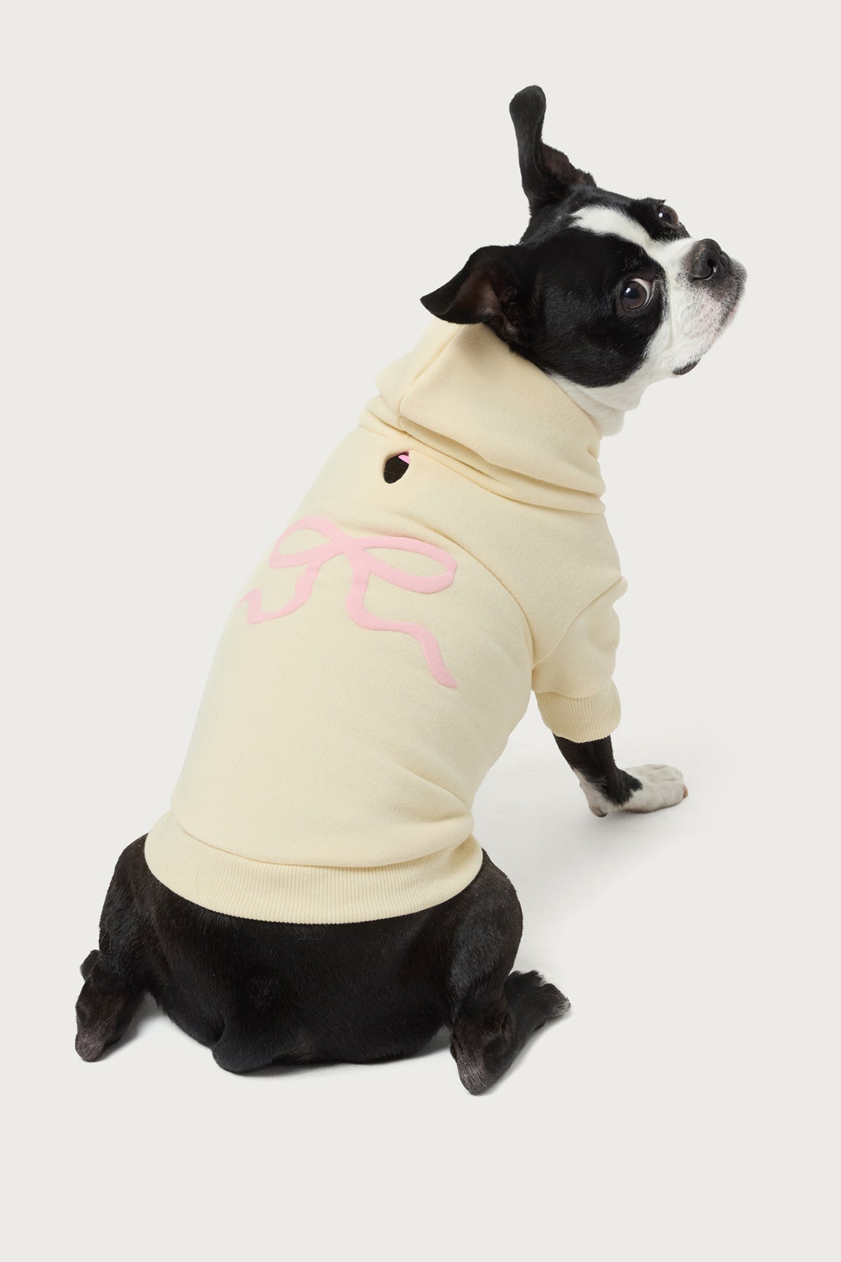 Bonney Bow Pet Hoodie-Milans Time