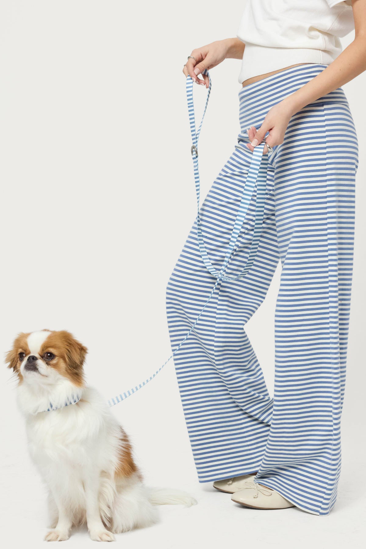 Striped Pet Leash-Milans Time