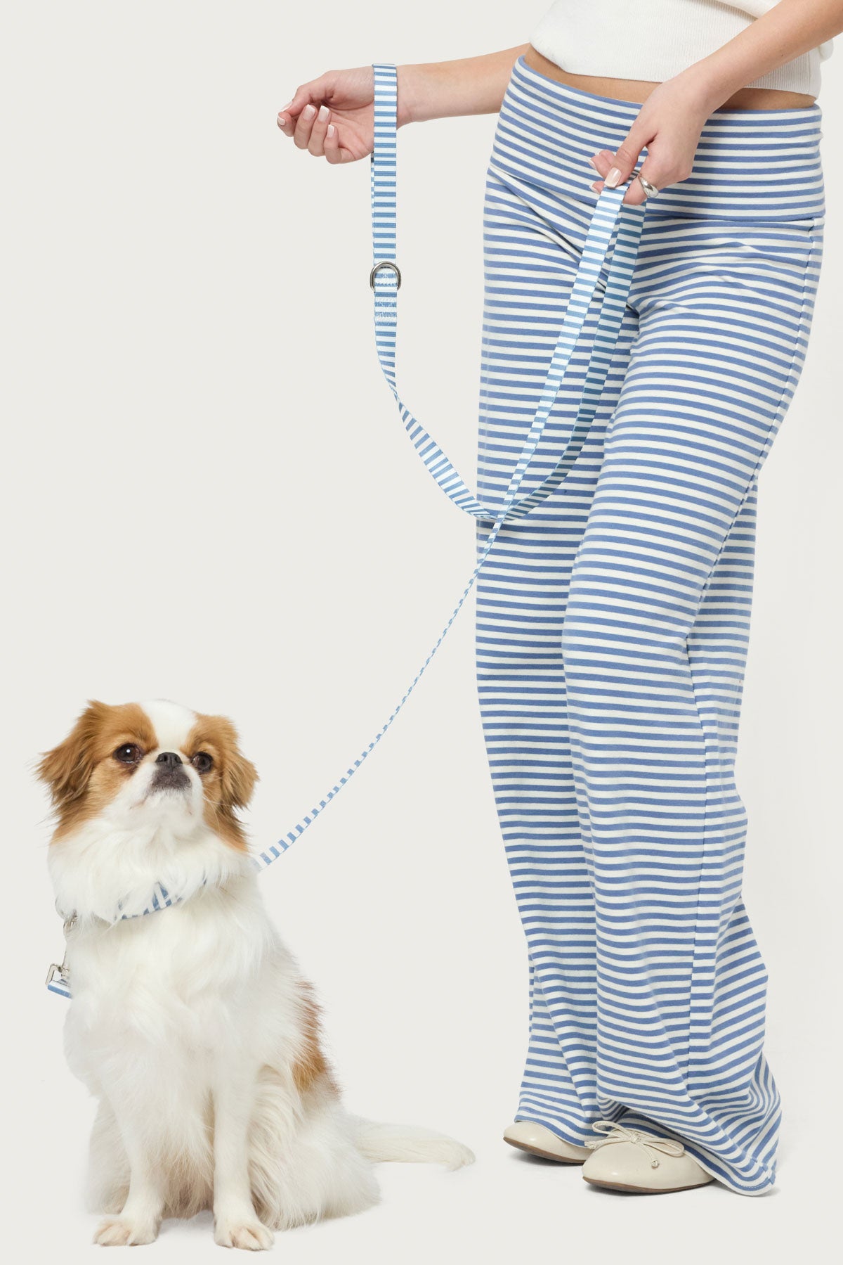 Striped Pet Leash-Milans Time