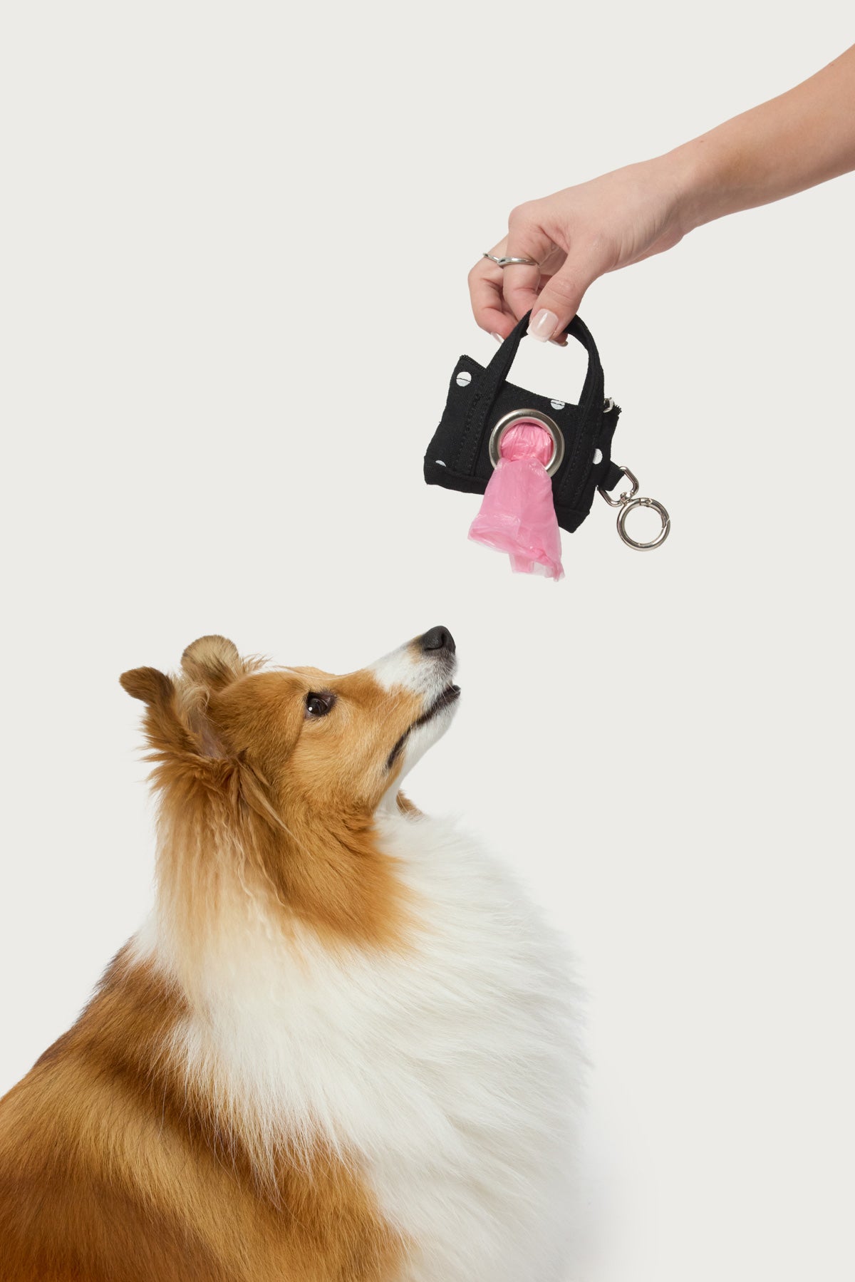 Tidy Tote Poop Bag Holder-Milans Time