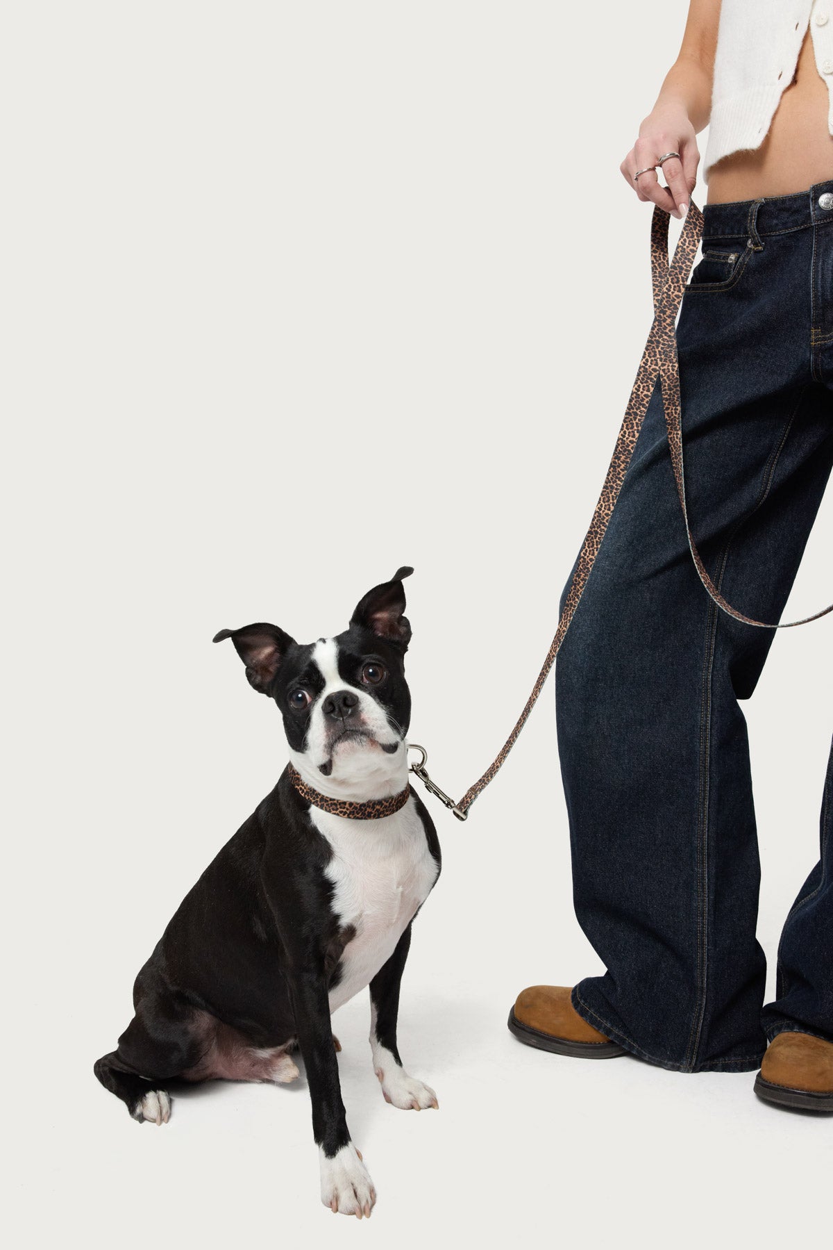 Leopard Print Pet Collar-Milans Time