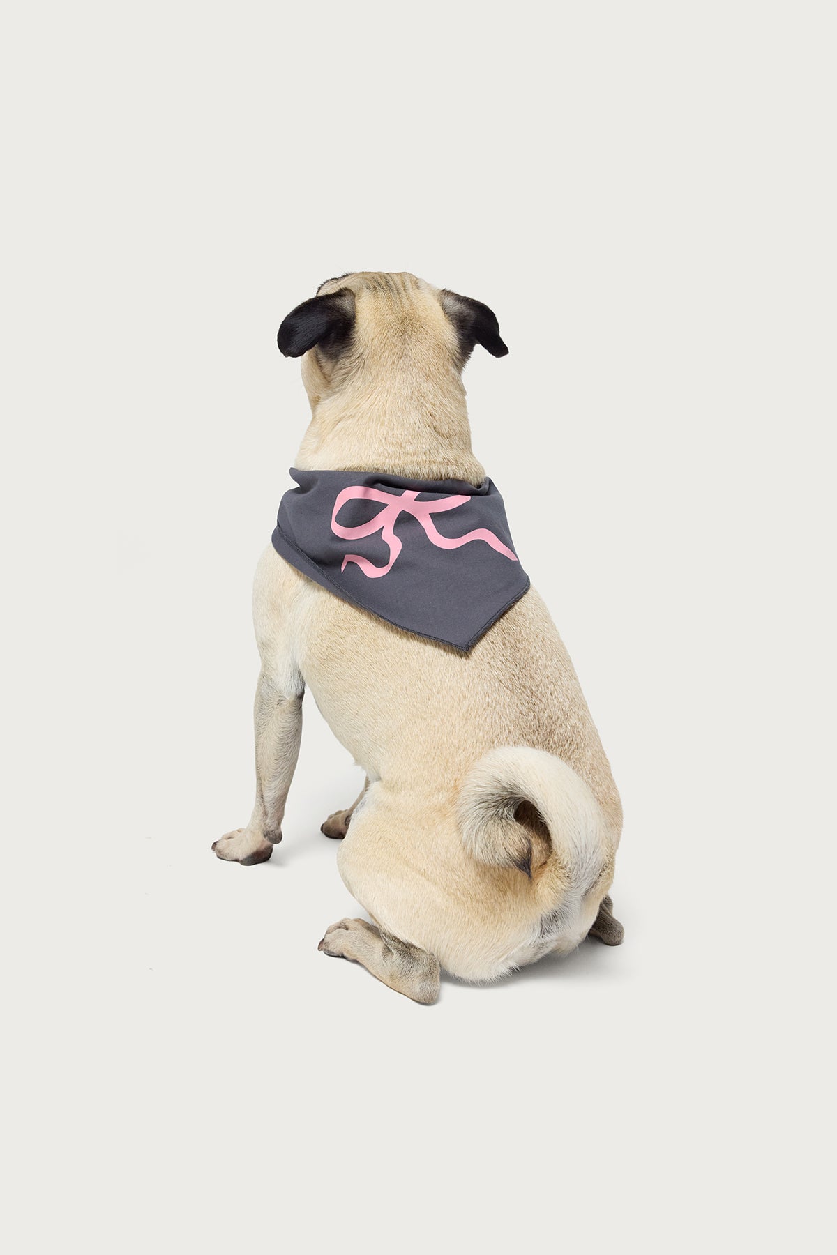 Bonney Bow Pet Bandana-Milans Time