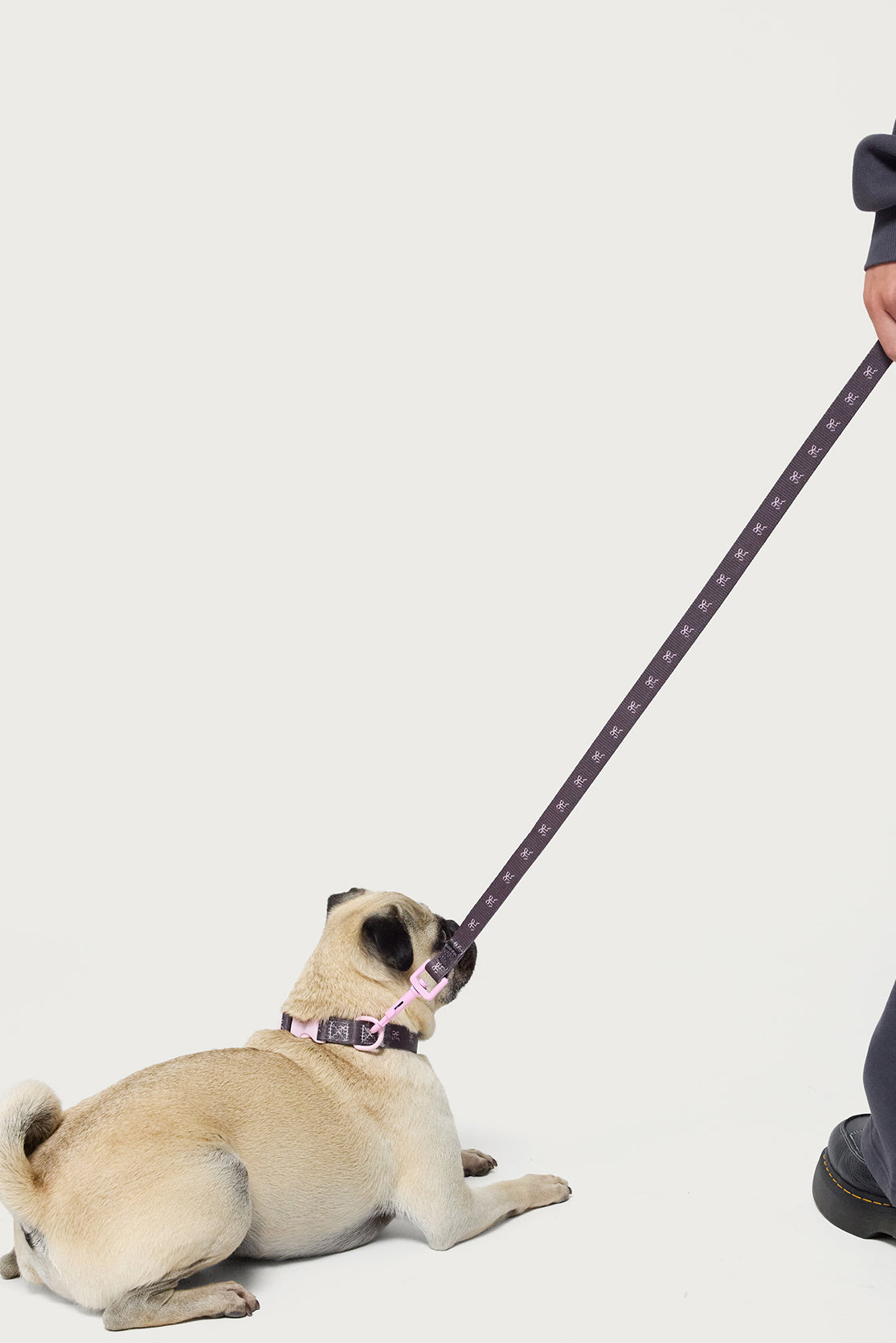 Bonney Bow Pet Leash-Milans Time