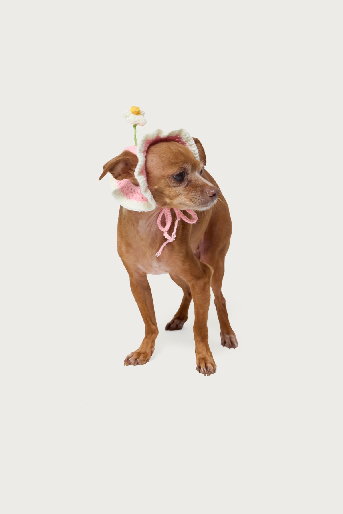 Petal Pet Crochet Hat-Milans Time