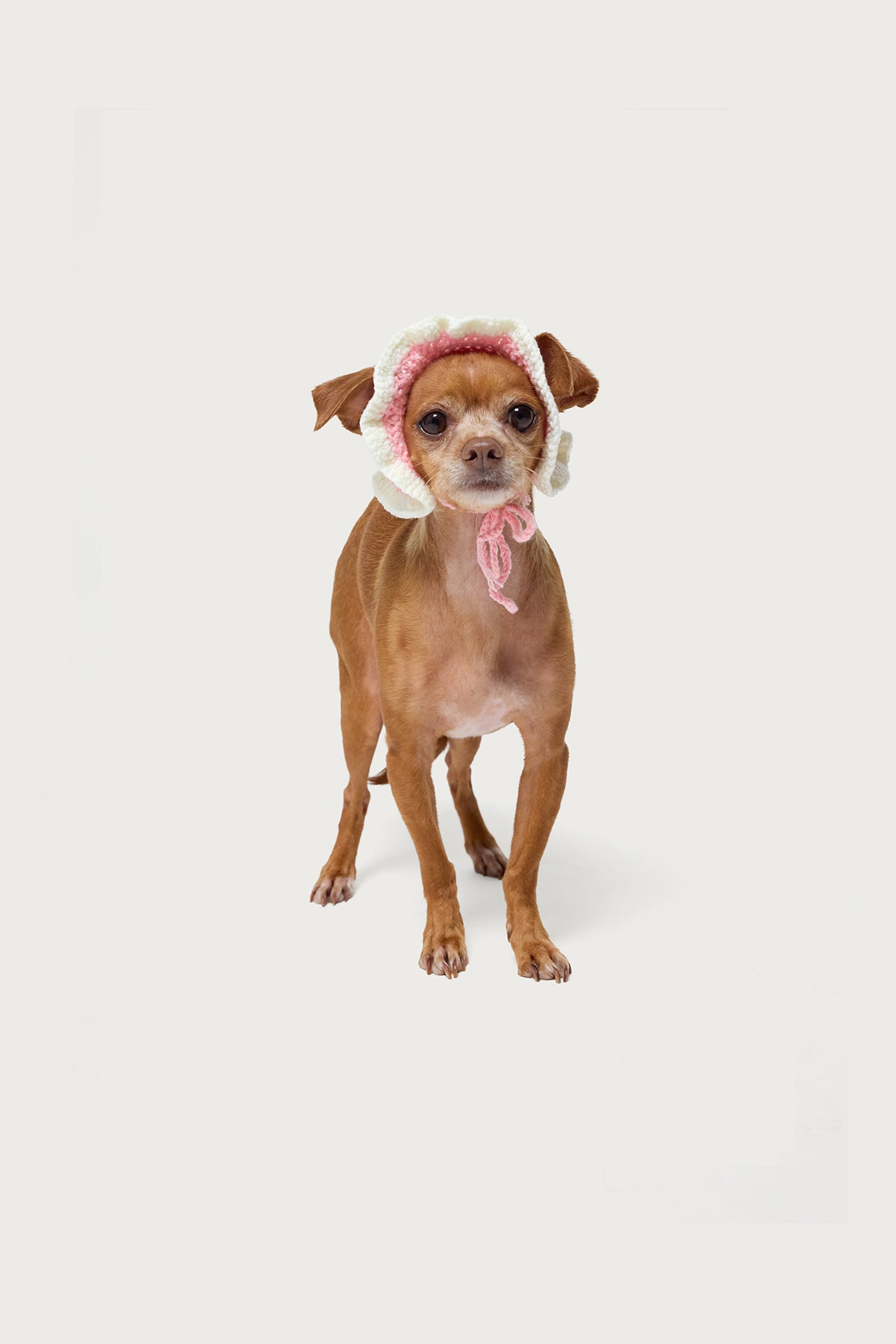 Petal Pet Crochet Hat-Milans Time