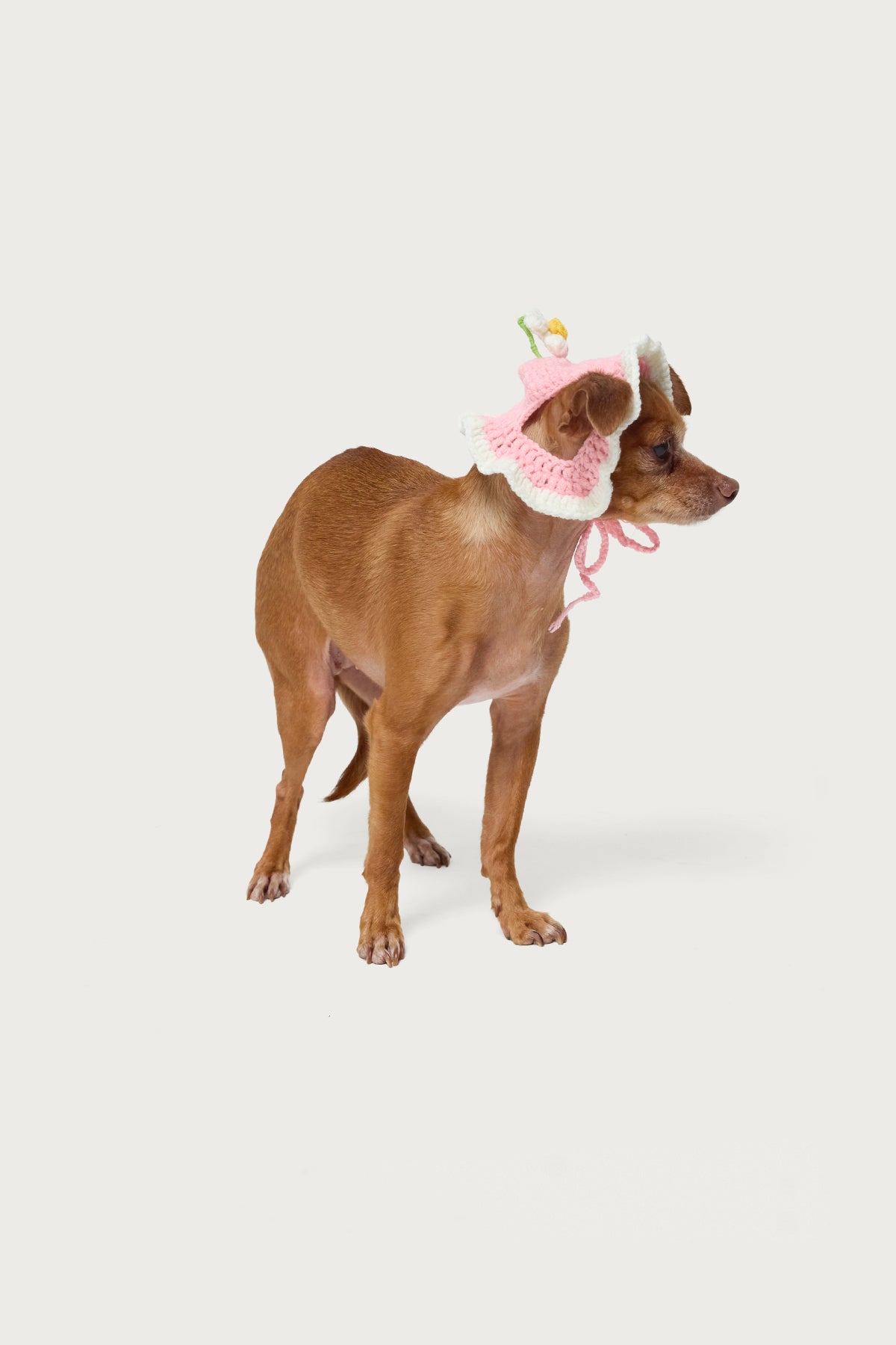 Petal Pet Crochet Hat-Milans Time