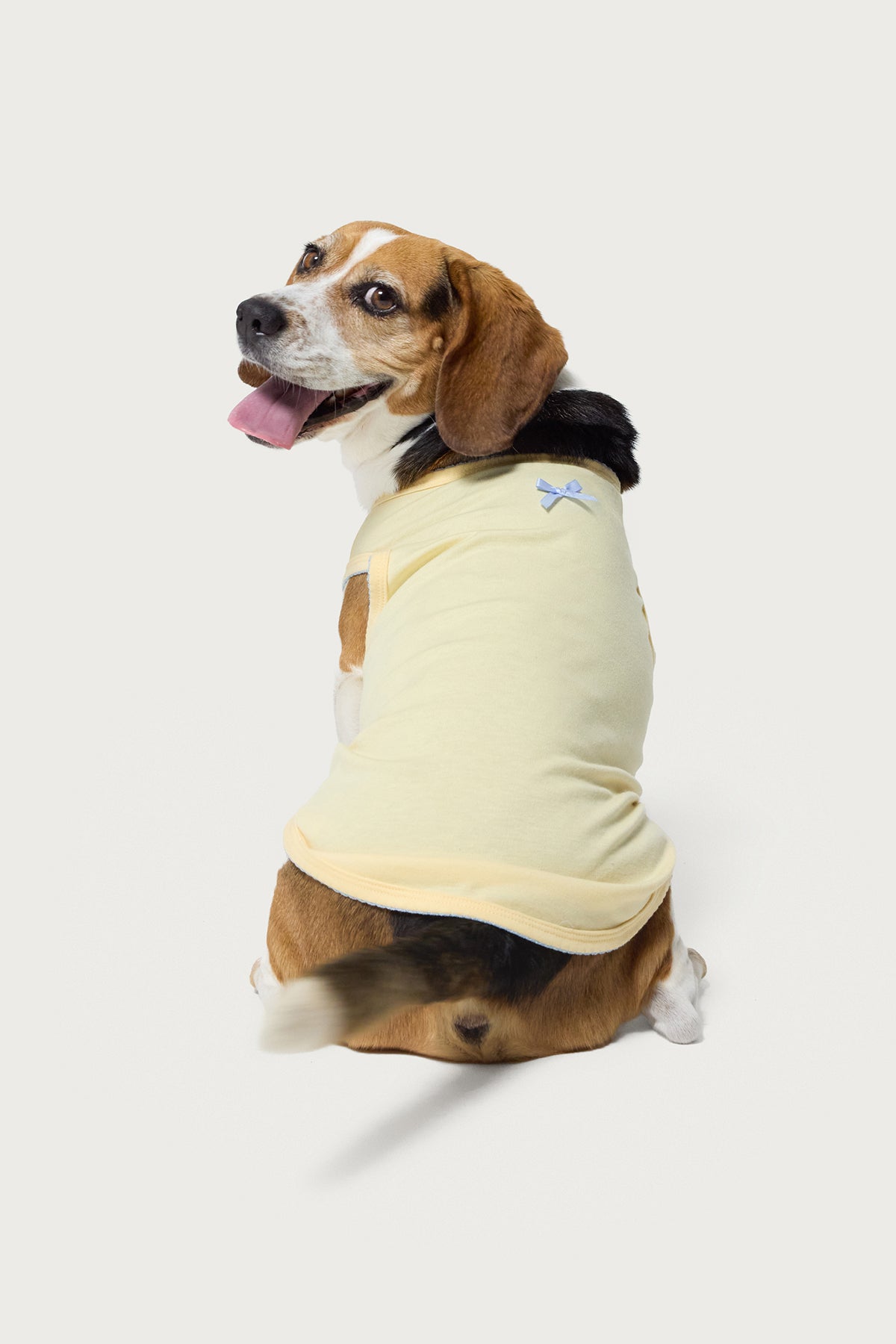 Pawfect Pet Tank Top-Milans Time
