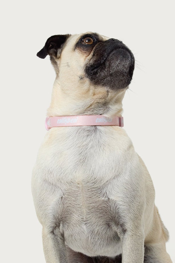 Milans Time Pet Collar-Milans Time