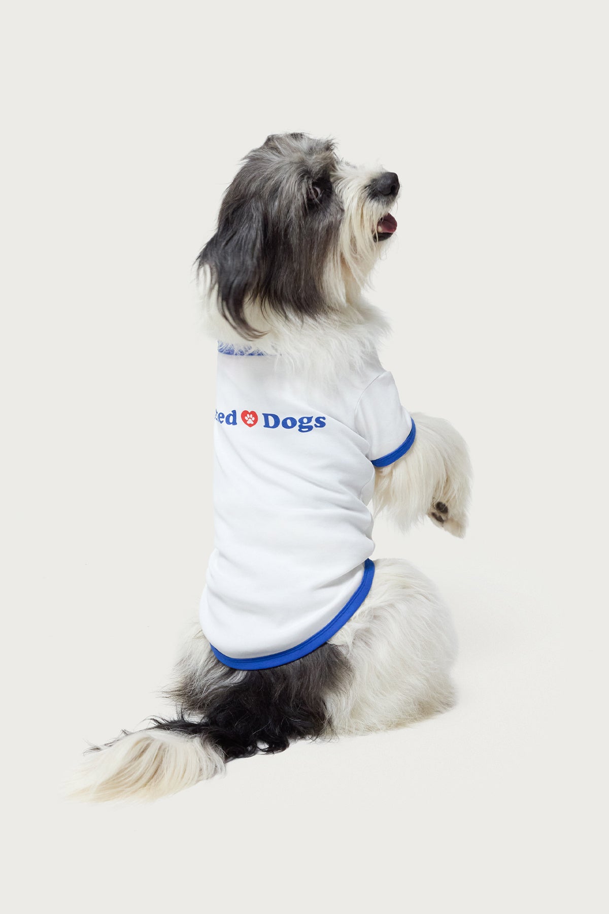 Puppy Lover Pet T Shirt-Milans Time