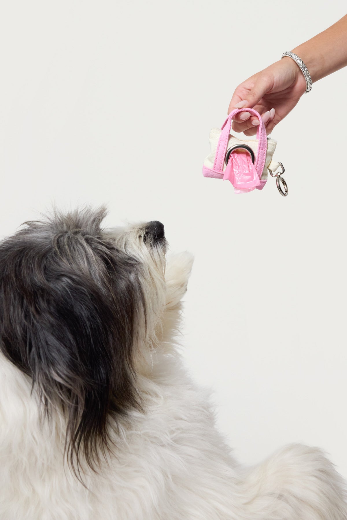 Tidy Tote Poop Bag Holder-Milans Time