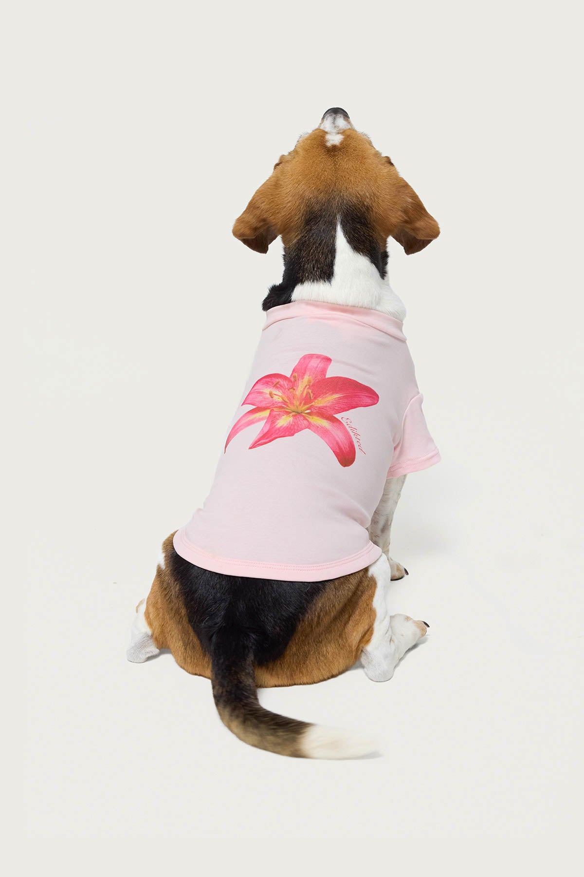 Daylily Pet T Shirt-Milans Time