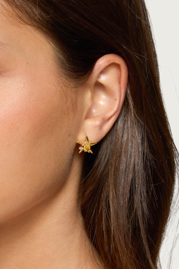 Sea Star Stud Earrings-Milans Time