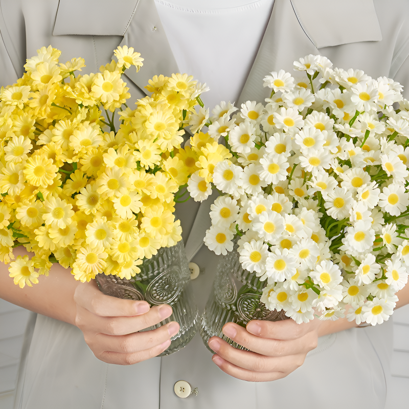 Kamille und Gänseblümchen für Wohnzimmer und Esstisch