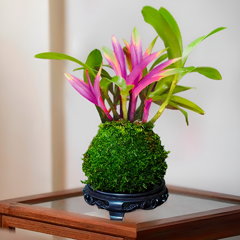 Empfehlungen für Bestseller