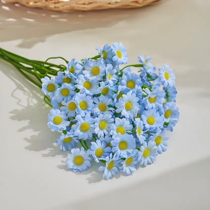 Kamille und Gänseblümchen für Wohnzimmer und Esstisch