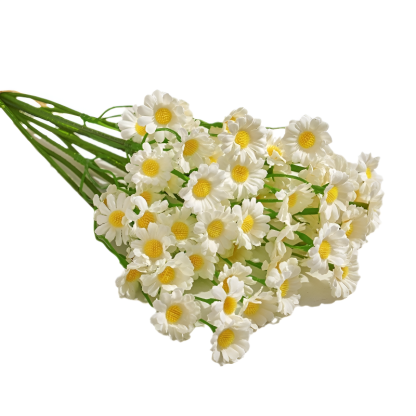 Kamille und Gänseblümchen für Wohnzimmer und Esstisch