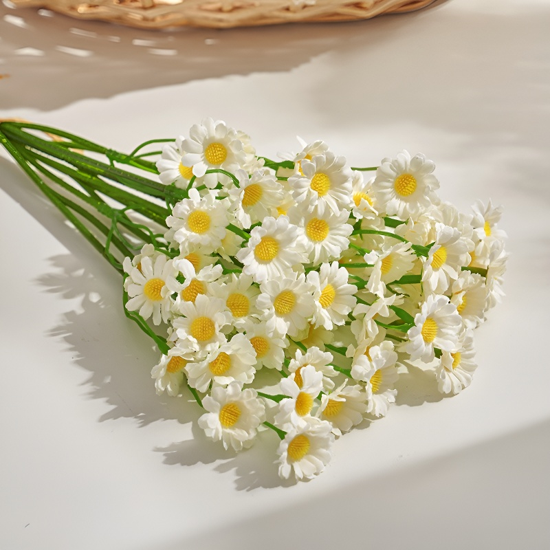 Kamille und Gänseblümchen für Wohnzimmer und Esstisch