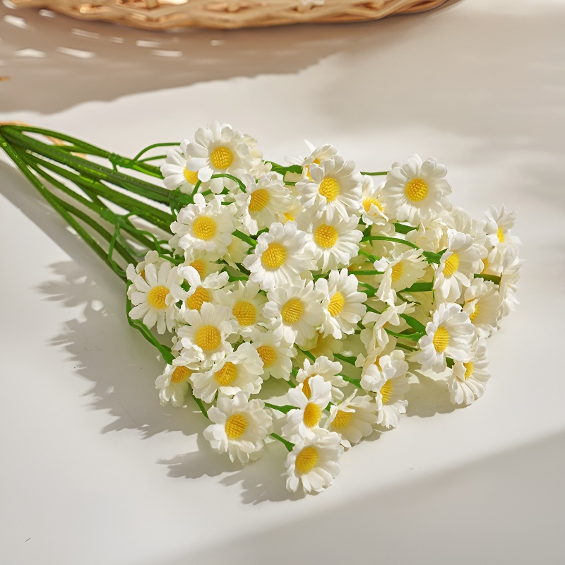 Kamille und Gänseblümchen für Wohnzimmer und Esstisch