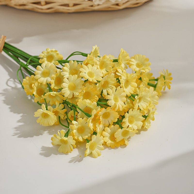 Kamille und Gänseblümchen für Wohnzimmer und Esstisch