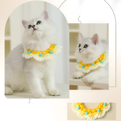 Trendiges Halsband für Katzen