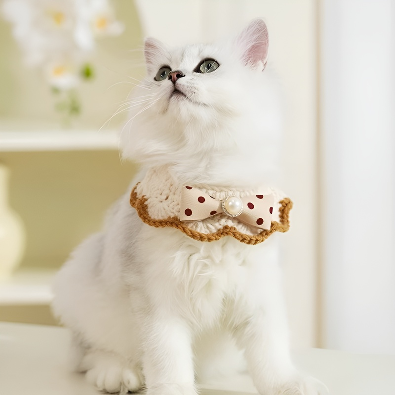 Trendiges Halsband für Katzen