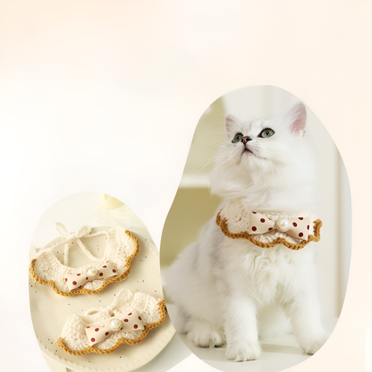 Trendiges Halsband für Katzen