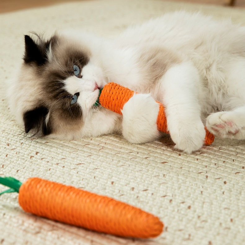 Katzen-Unterhaltungsspielzeug