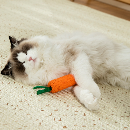 Katzen-Unterhaltungsspielzeug