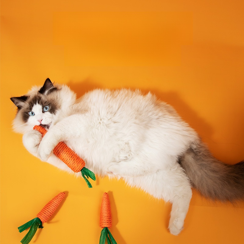 Katzen-Unterhaltungsspielzeug