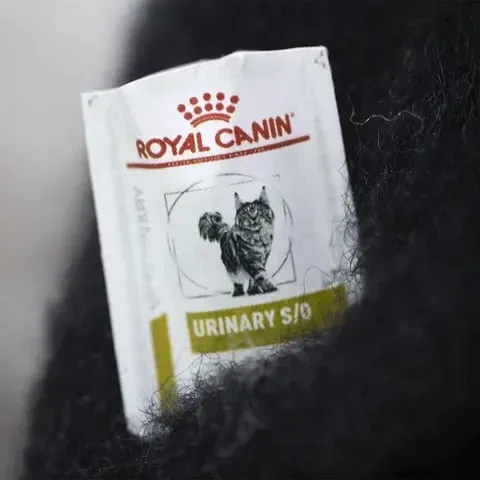 🌲Christmas Gift 50% Off--🎄✨Wool Felt Familiars – Quirky Handmade Companions