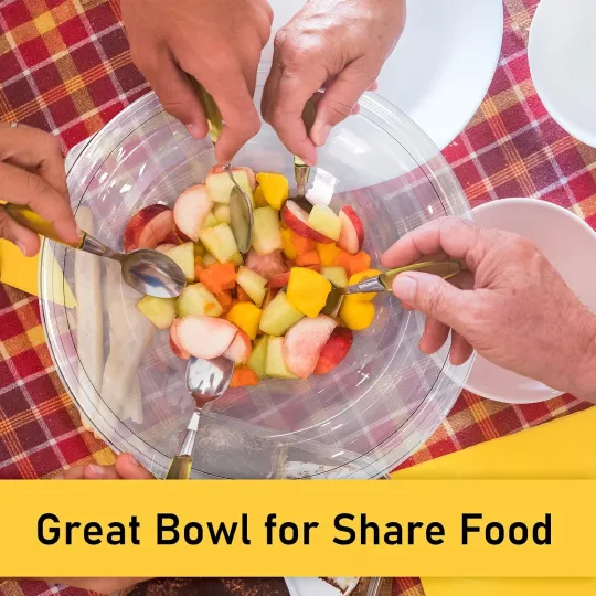 160 oz Clear Disposable Round Plastic Salad Bowl Sets