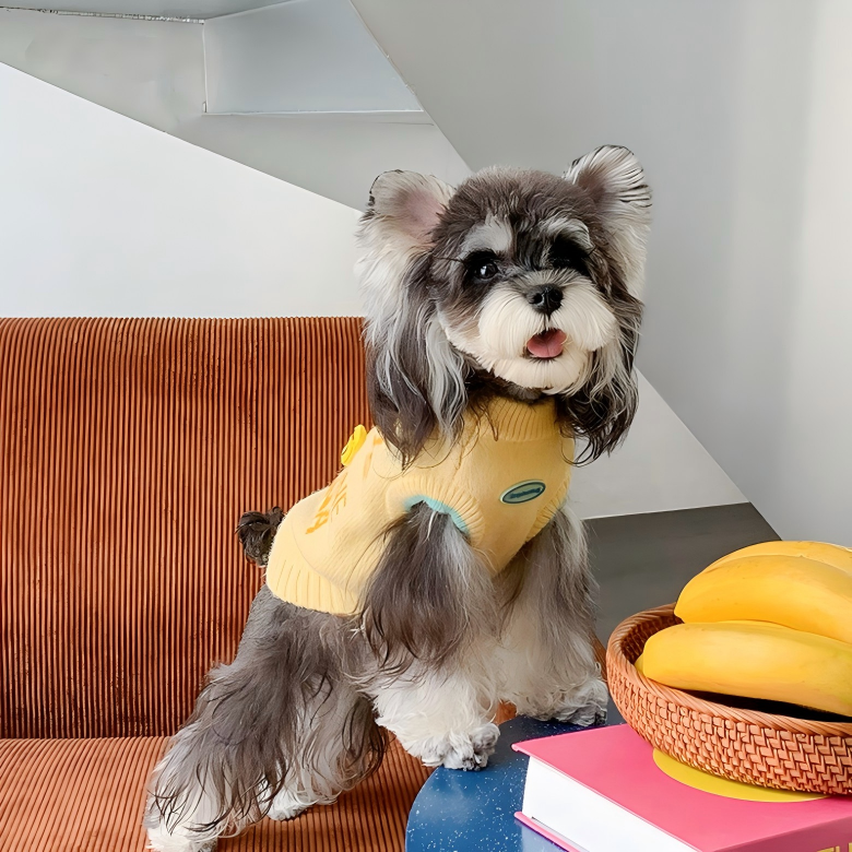 3D Banana Embroidery Knit Sweater | Small to Medium Dog Sweater